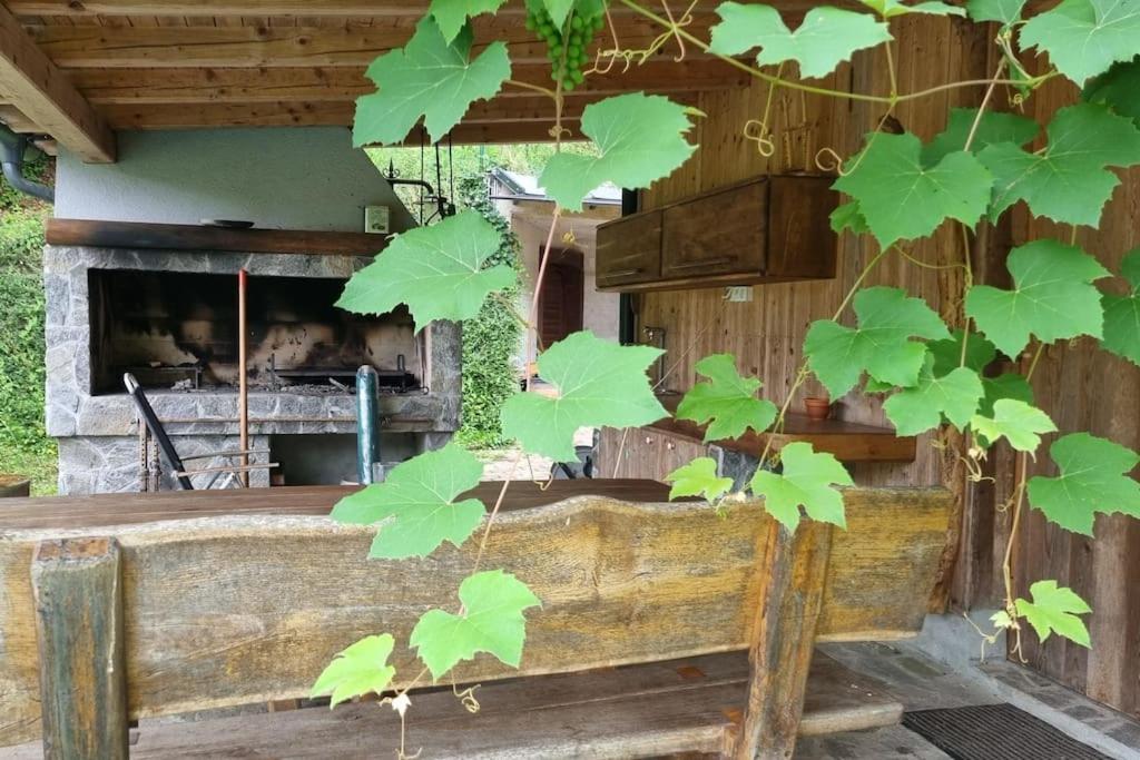 דירות מדבודה Country Retreat, Near Ljubljana City, Apartma Na Vasi, Blizu Mesta Ljubljana מראה חיצוני תמונה